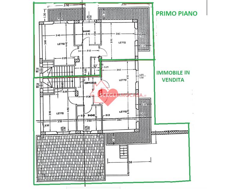 Pln Primo Piano